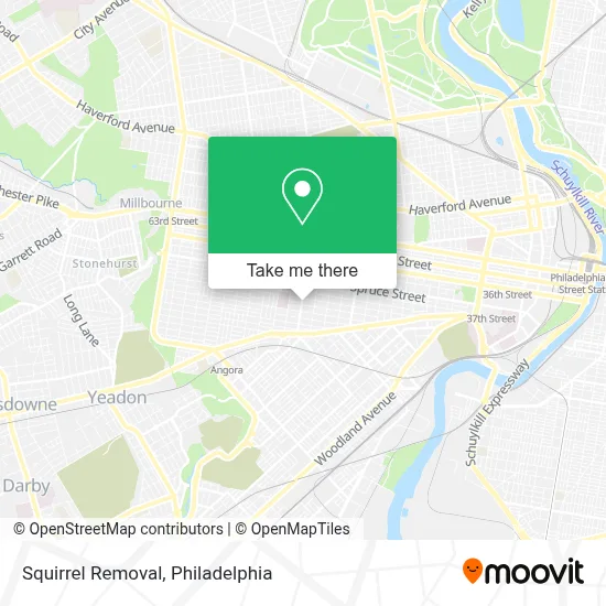 Squirrel Removal map