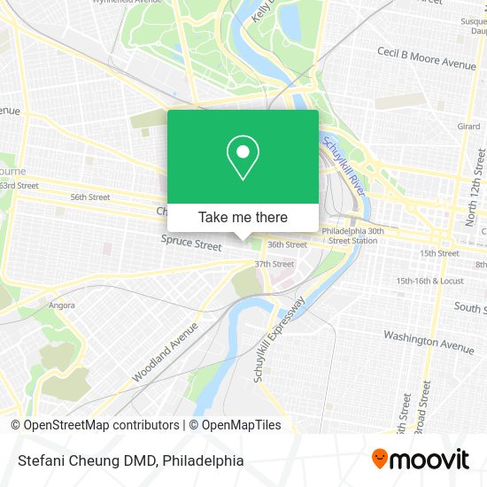 Stefani Cheung DMD map