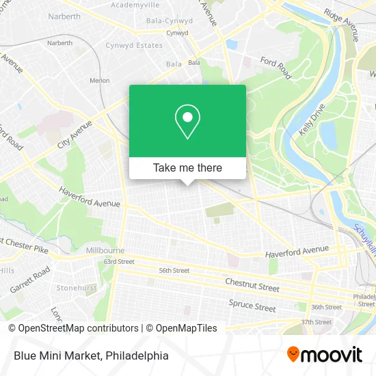 Blue Mini Market map