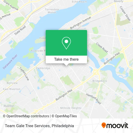 Team Gale Tree Services map