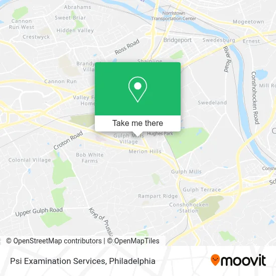 Psi Examination Services map