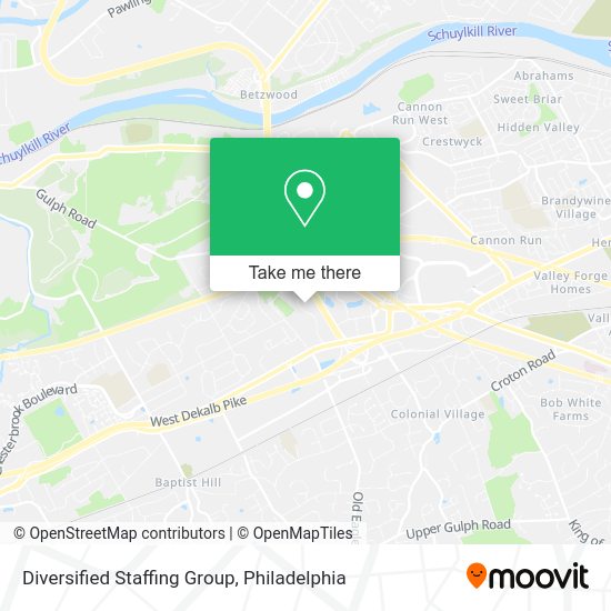 Diversified Staffing Group map