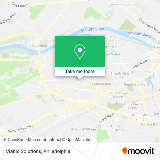 Viable Solutions map