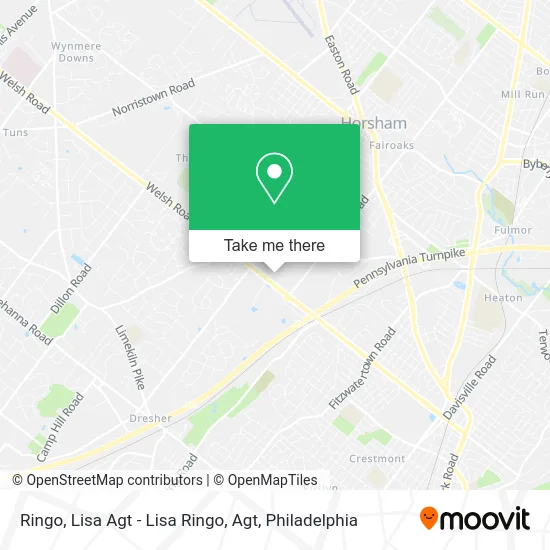 Mapa de Ringo, Lisa Agt - Lisa Ringo, Agt