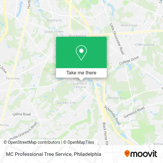 MC Professional Tree Service map