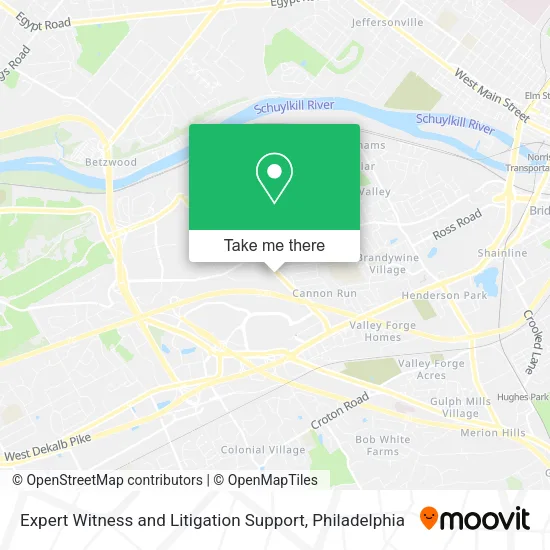 Expert Witness and Litigation Support map