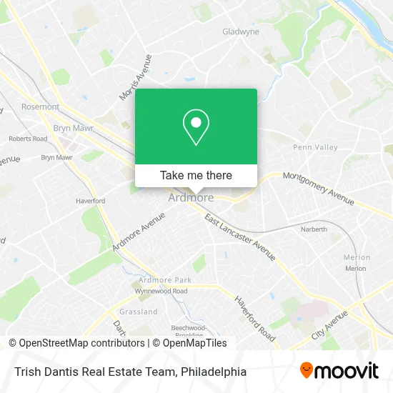 Trish Dantis Real Estate Team map