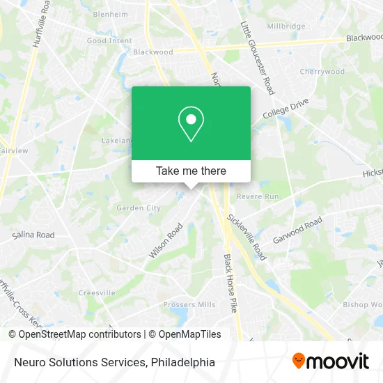 Neuro Solutions Services map