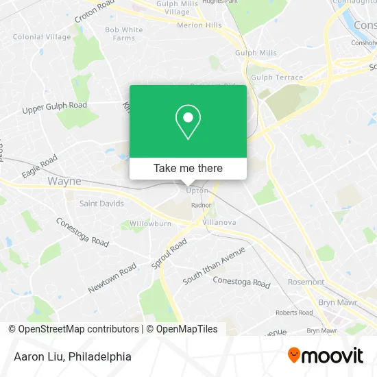 Aaron Liu map