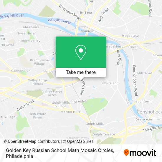 Golden Key Russian School Math Mosaic Circles map