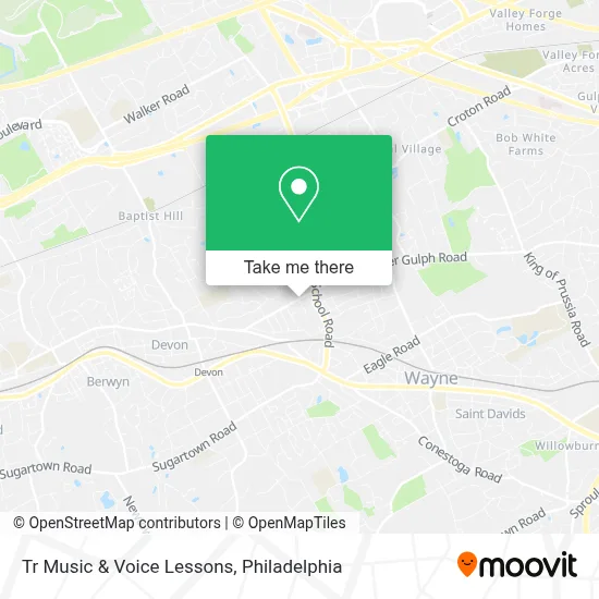 Tr Music & Voice Lessons map
