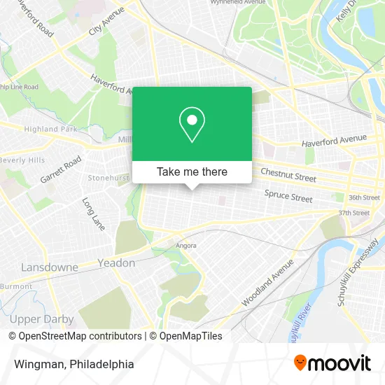 Wingman map