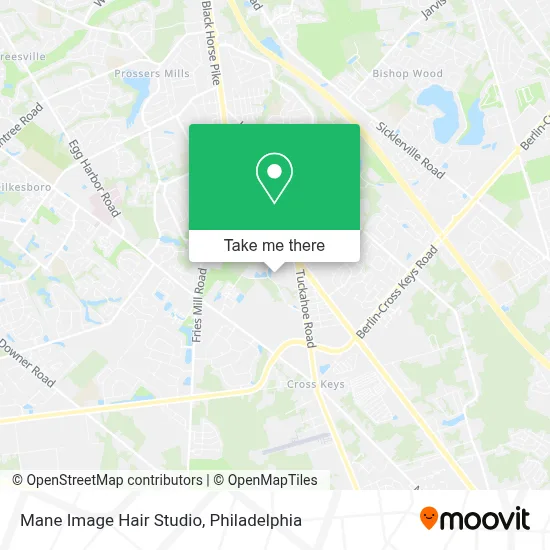 Mane Image Hair Studio map