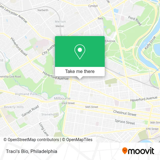 Traci's Bio map