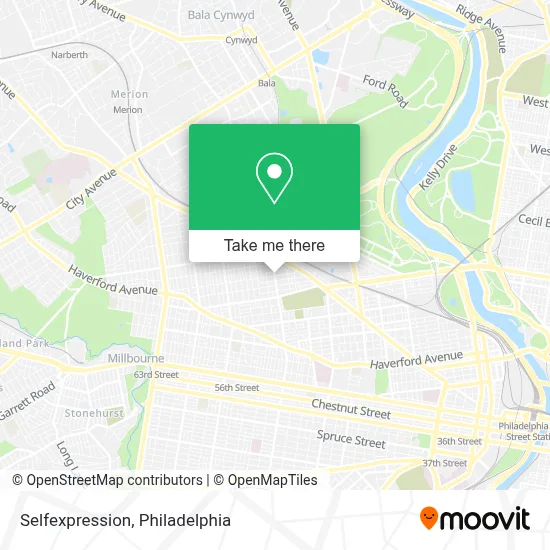 Selfexpression map
