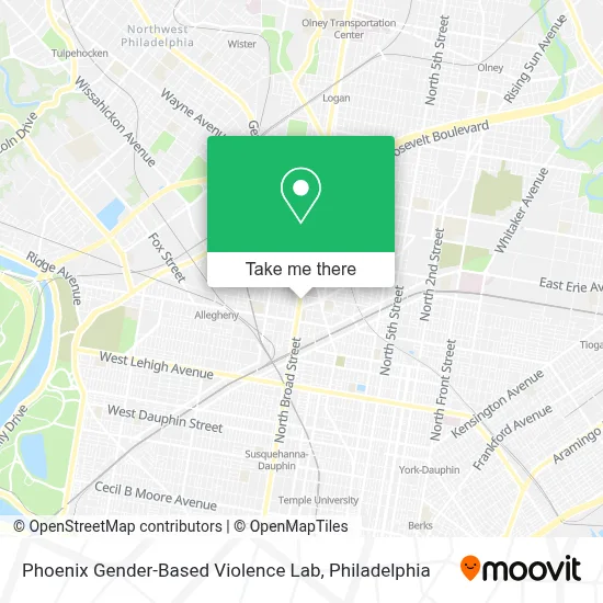 Phoenix Gender-Based Violence Lab map