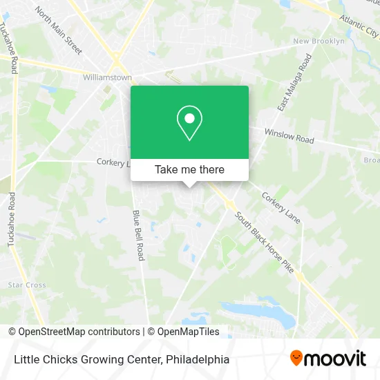 Little Chicks Growing Center map
