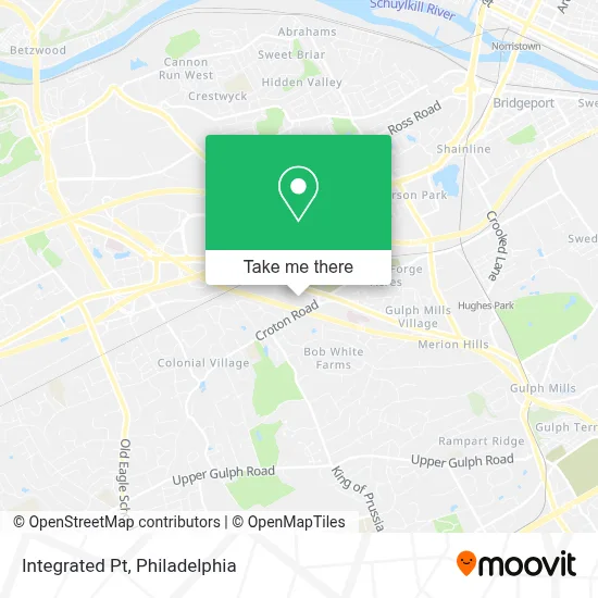 Integrated Pt map