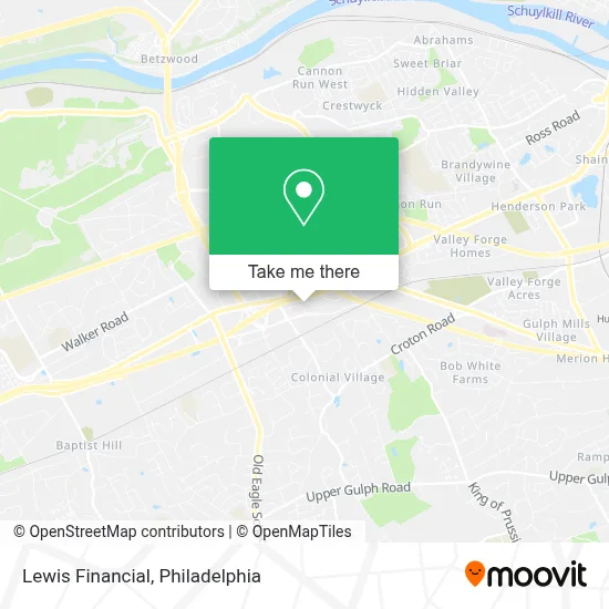 Lewis Financial map