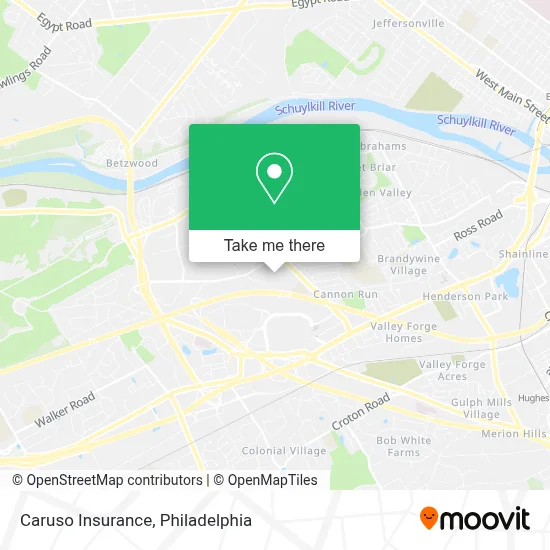 Caruso Insurance map
