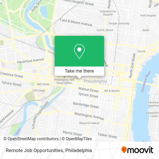 Remote Job Opportunities map