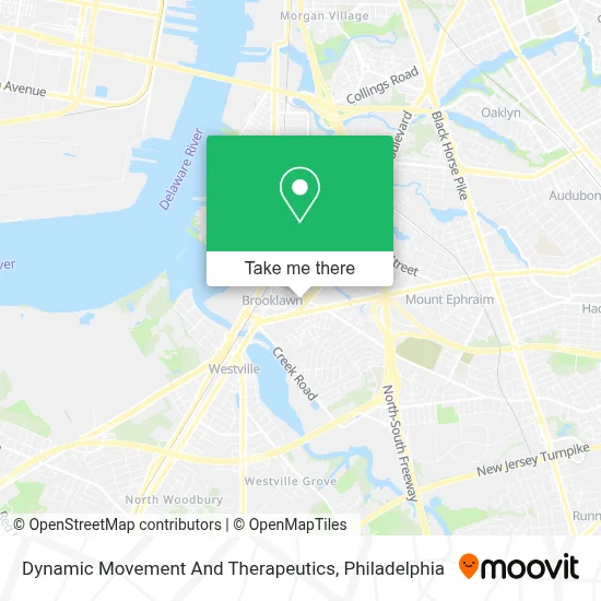 Dynamic Movement And Therapeutics map