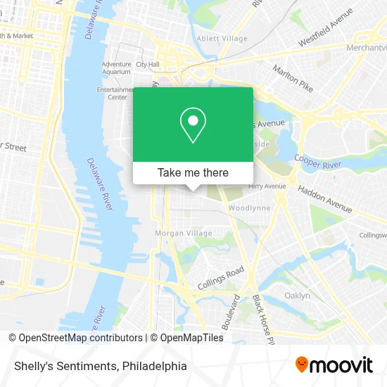 Shelly's Sentiments map