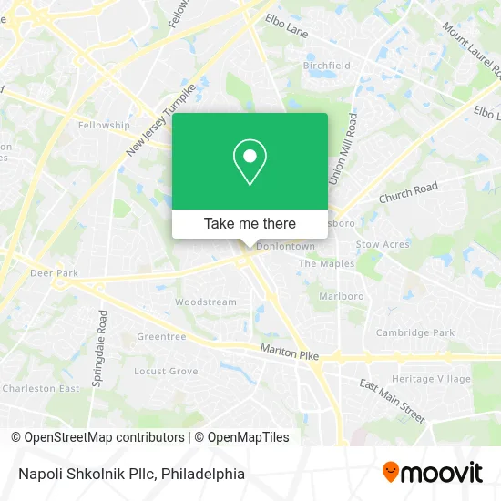 Napoli Shkolnik Pllc map