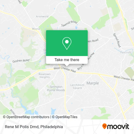 Rene M Polis Dmd map