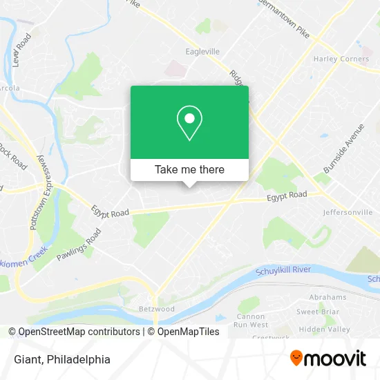 Giant map
