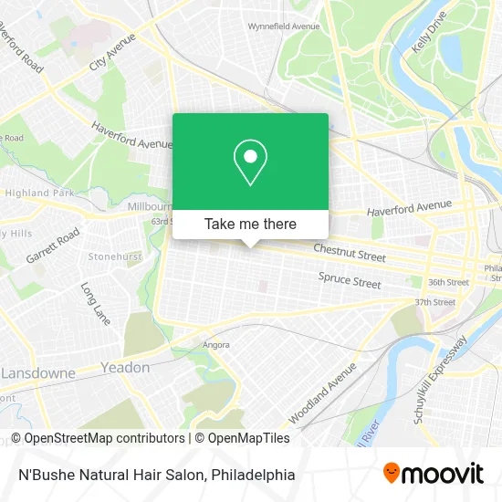 N'Bushe Natural Hair Salon map