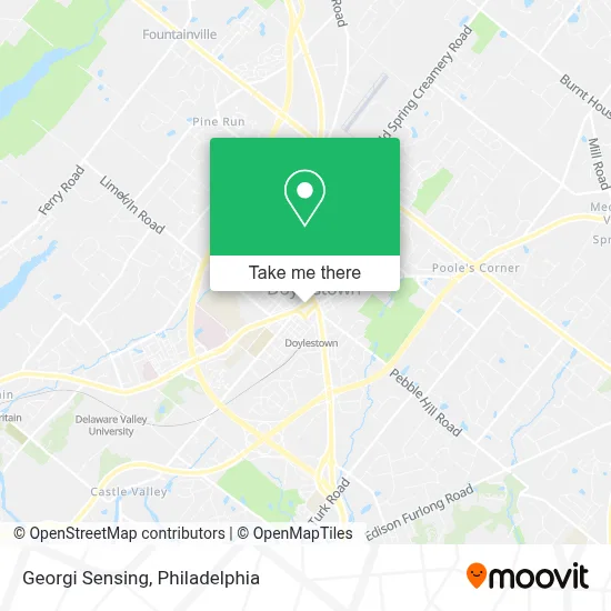 Georgi Sensing map