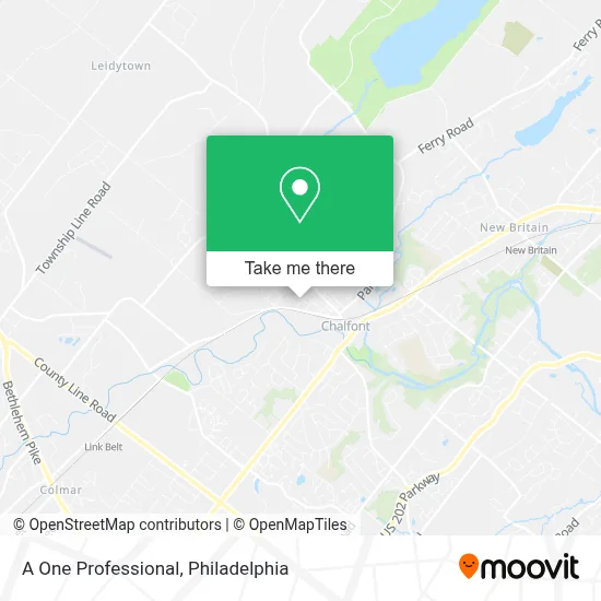 A One Professional map