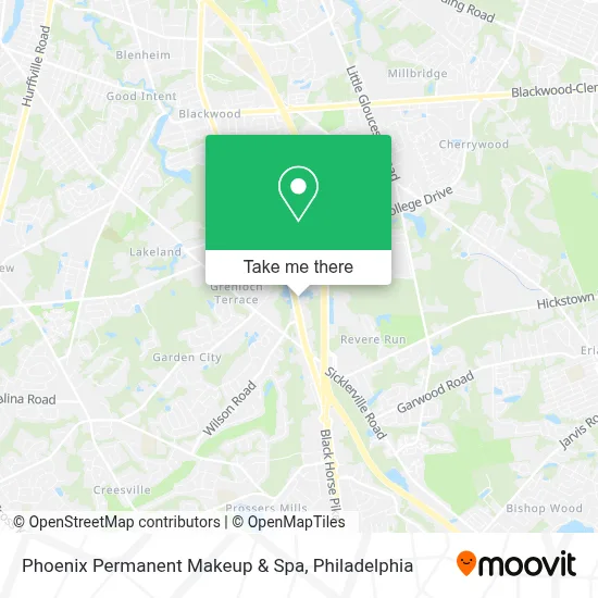 Phoenix Permanent Makeup & Spa map