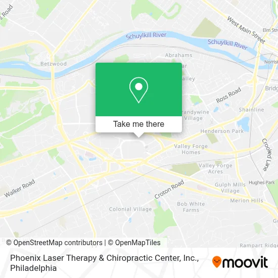 Phoenix Laser Therapy & Chiropractic Center, Inc. map