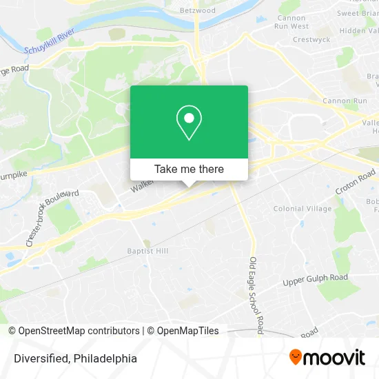 Diversified map