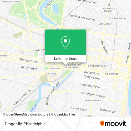 Dragonfly map