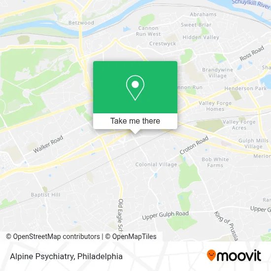Alpine Psychiatry map