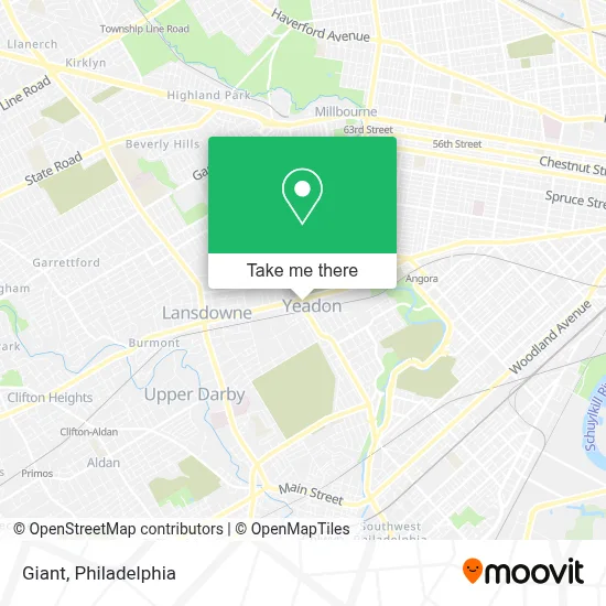 Giant map
