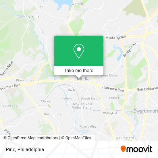 Pine map