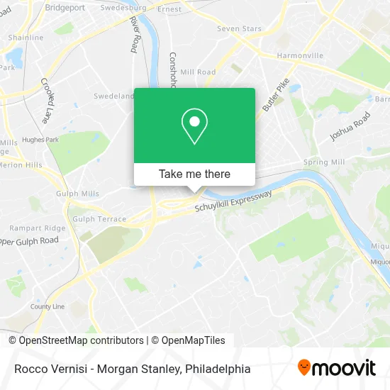 Rocco Vernisi - Morgan Stanley map