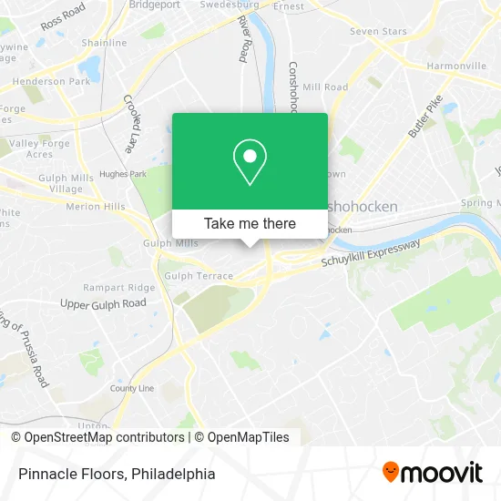 Pinnacle Floors map