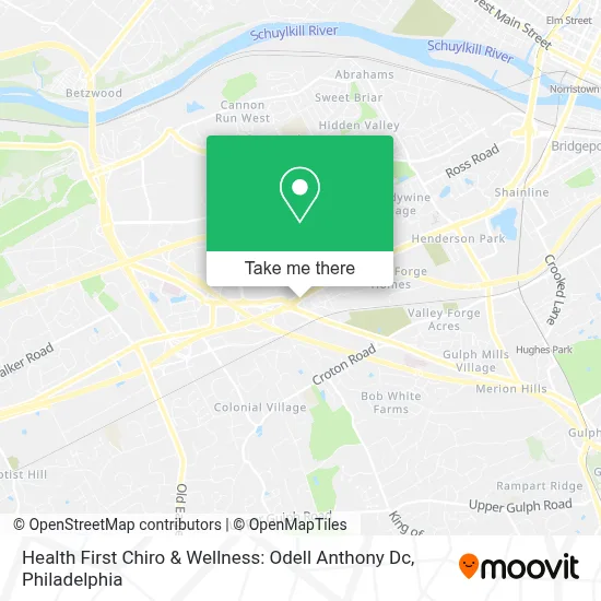 Health First Chiro & Wellness: Odell Anthony Dc map