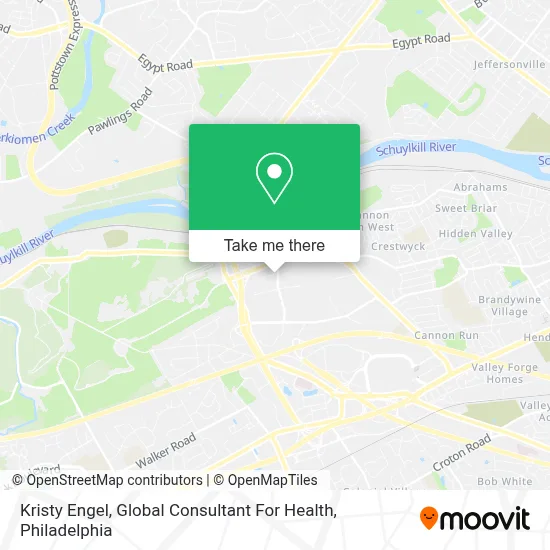 Kristy Engel, Global Consultant For Health map