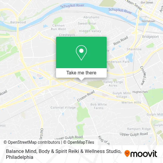 Balance Mind, Body & Spirit Reiki & Wellness Studio map