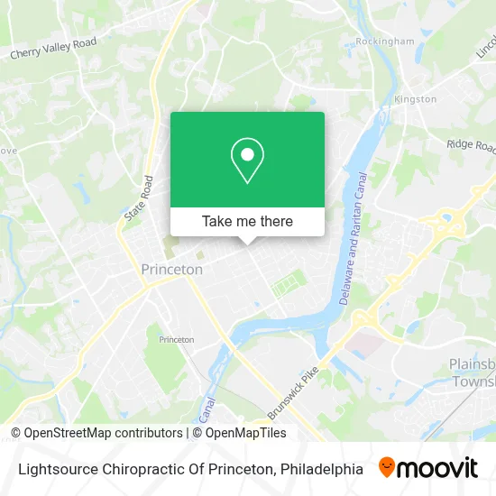 Lightsource Chiropractic Of Princeton map