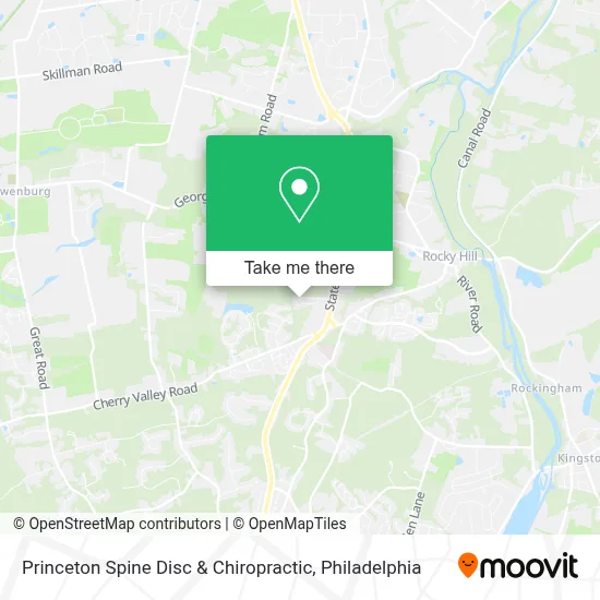 Princeton Spine Disc & Chiropractic map