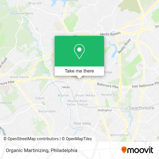 Organic Martinizing map