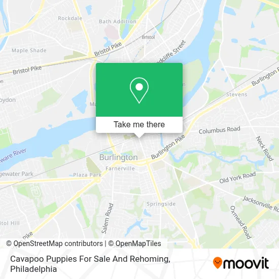 Cavapoo Puppies For Sale And Rehoming map