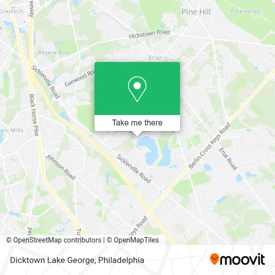 Dicktown Lake George map